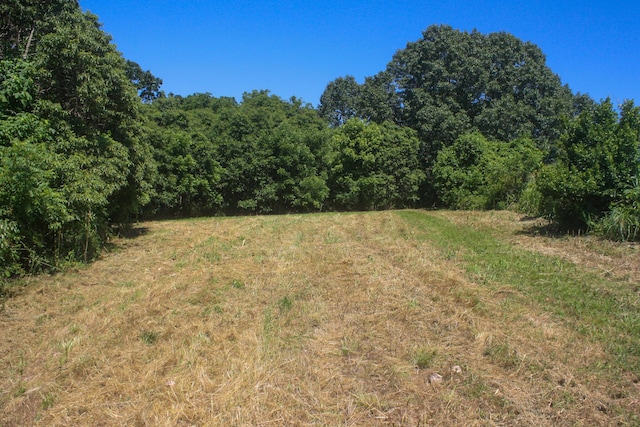 1526 Ozark Rd, Crane, MO 65633 - photo 25