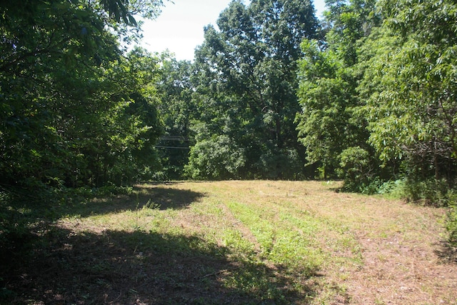 1526 Ozark Rd, Crane, MO 65633 - photo 27