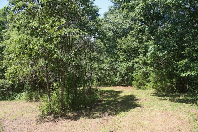 1526 Ozark Rd, Crane, MO 65633 - photo 28