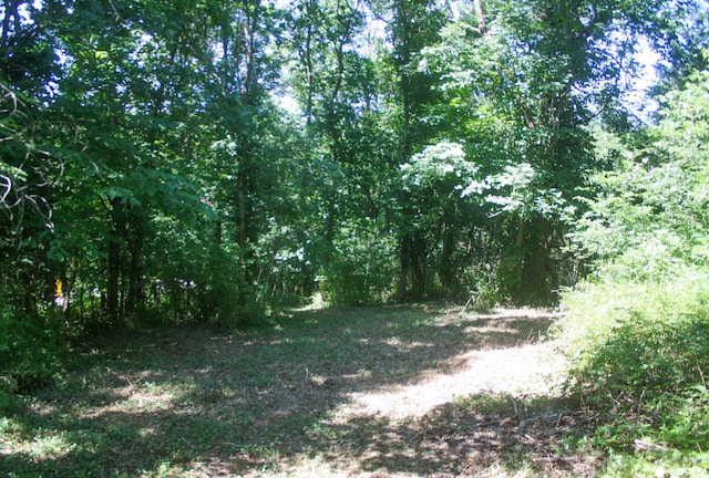 1526 Ozark Rd, Crane, MO 65633 - photo 29