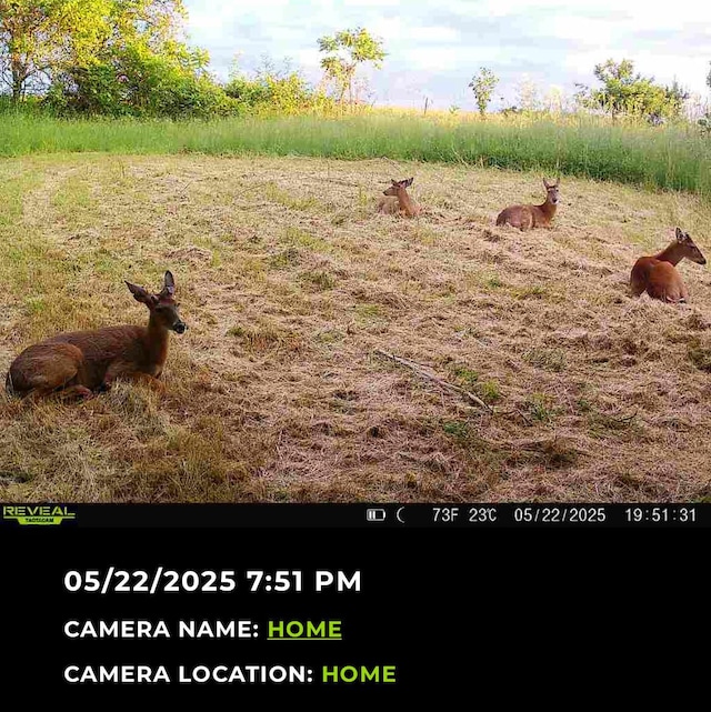 1526 Ozark Rd, Crane, MO 65633 - photo 2