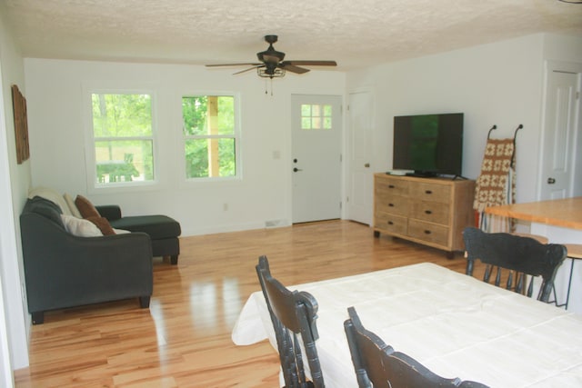 1526 Ozark Rd, Crane, MO 65633 - photo 4