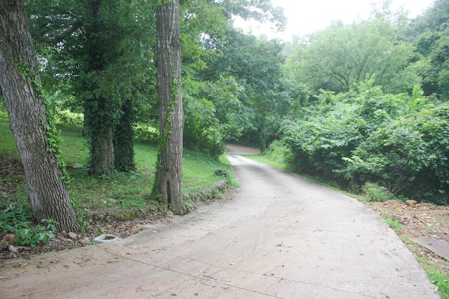 1526 Ozark Rd, Crane, MO 65633 - photo 23