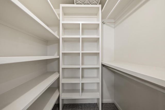 2266 E Barataria St, Springfield, MO 65804 - view of spacious closet