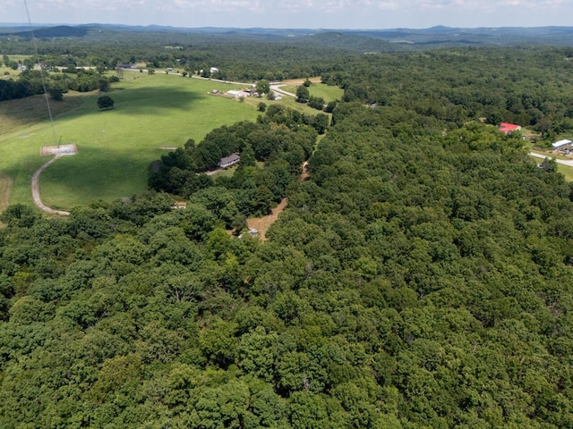Tbd County Road 867, Isabella, MO 65676 - photo 12