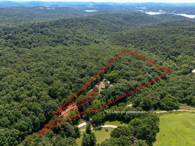 Tbd County Road 867, Isabella, MO 65676 - photo 3