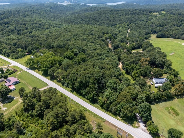 Tbd County Road 867, Isabella, MO 65676 - photo 13