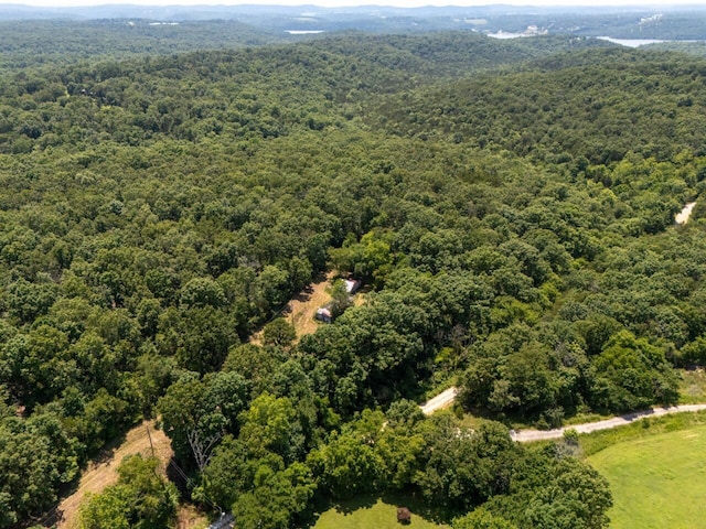 Tbd County Road 867, Isabella, MO 65676 - photo 14