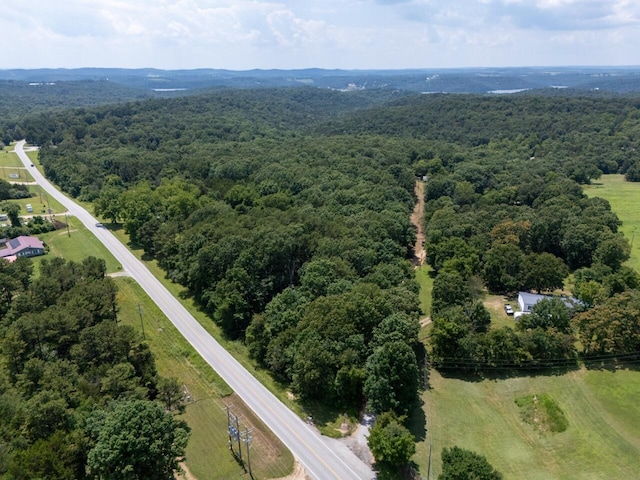 Tbd County Road 867, Isabella, MO 65676 - photo 15