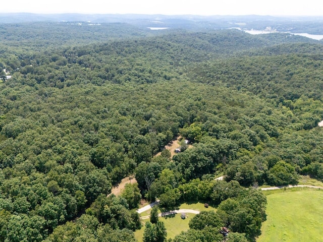 Tbd County Road 867, Isabella, MO 65676 - photo 8