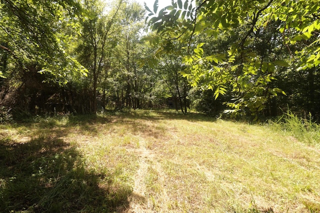 Tbd County Road 867, Isabella, MO 65676 - photo 30