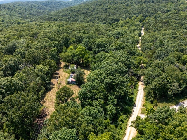 Tbd County Road 867, Isabella, MO 65676 - photo 9