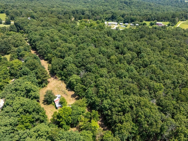 Tbd County Road 867, Isabella, MO 65676 - photo 10