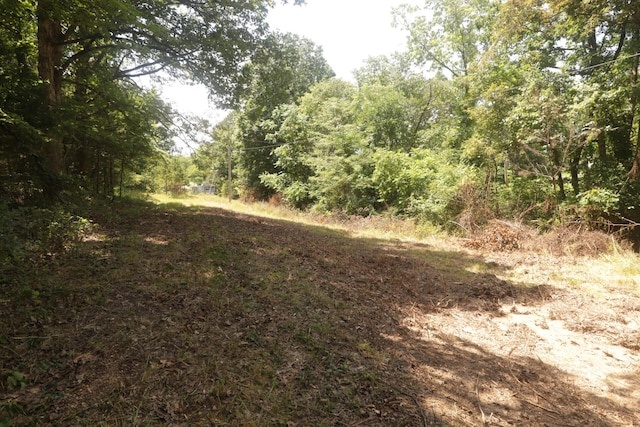 Tbd County Road 867, Isabella, MO 65676 - photo 21