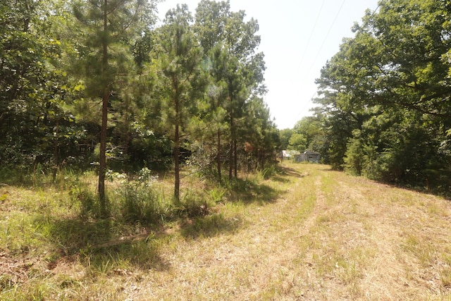 Tbd County Road 867, Isabella, MO 65676 - photo 22