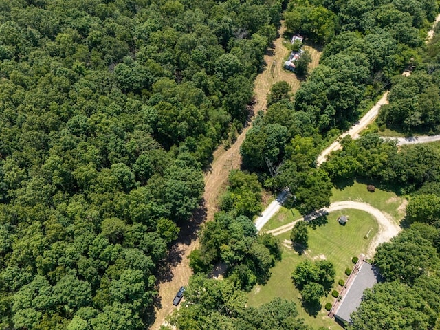 Tbd County Road 867, Isabella, MO 65676 - photo 5