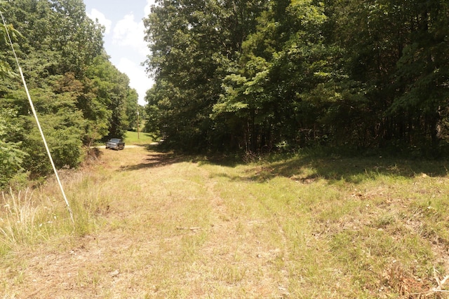 Tbd County Road 867, Isabella, MO 65676 - photo 51