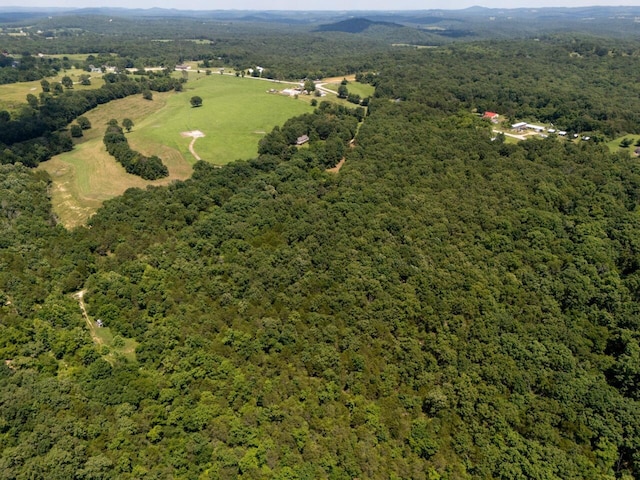 Tbd County Road 867, Isabella, MO 65676 - photo 11