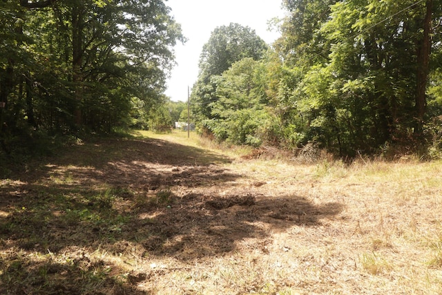 Tbd County Road 867, Isabella, MO 65676 - photo 18