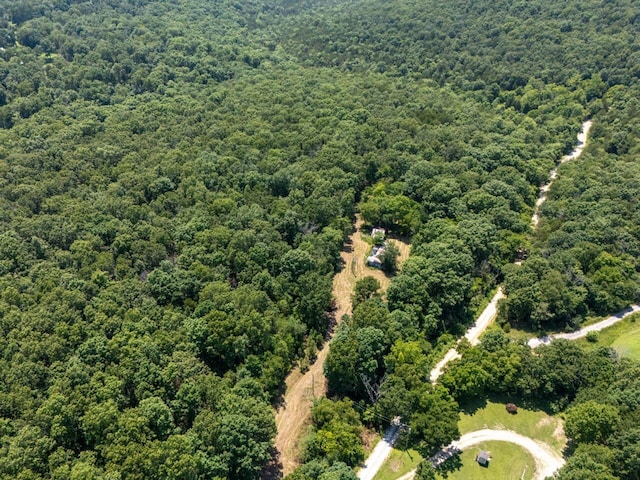 Tbd County Road 867, Isabella, MO 65676 - photo 6