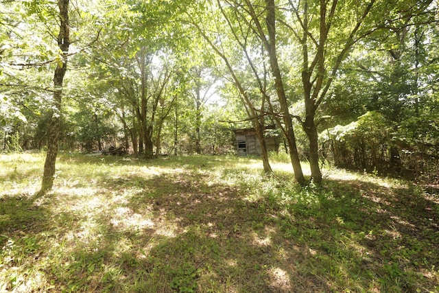 Tbd County Road 867, Isabella, MO 65676 - photo 31