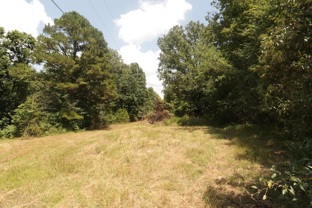 Tbd County Road 867, Isabella, MO 65676 - photo 43