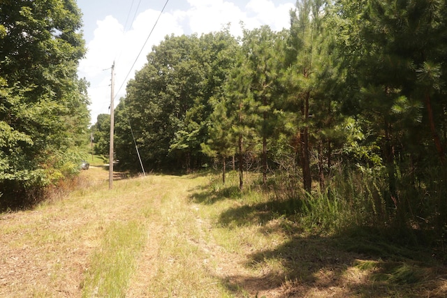 Tbd County Road 867, Isabella, MO 65676 - photo 50