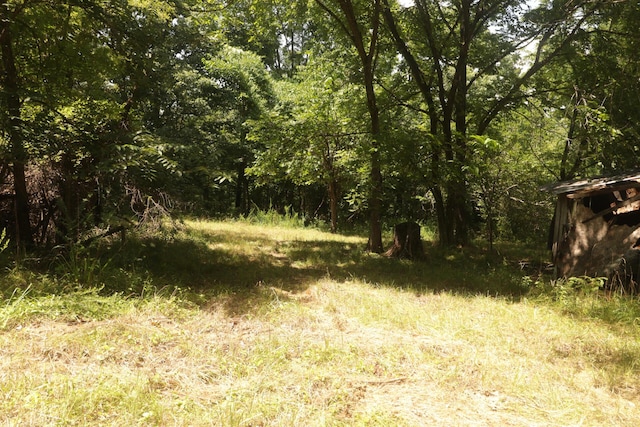 Tbd County Road 867, Isabella, MO 65676 - photo 36