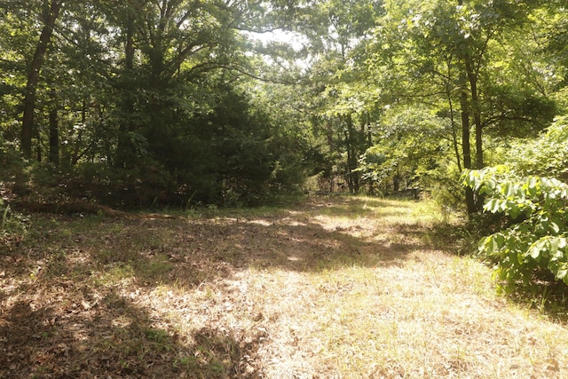 Tbd County Road 867, Isabella, MO 65676 - photo 35