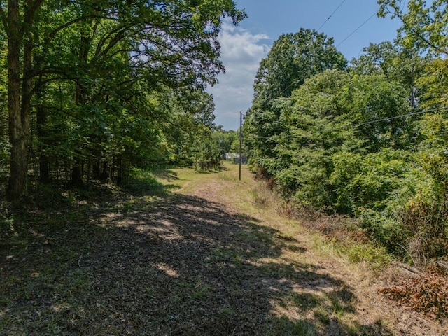 Tbd County Road 867, Isabella, MO 65676 - photo 2