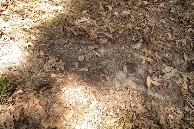 Tbd County Road 867, Isabella, MO 65676 - photo 20