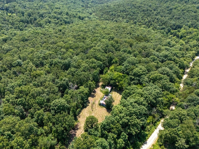 Tbd County Road 867, Isabella, MO 65676 - photo 4
