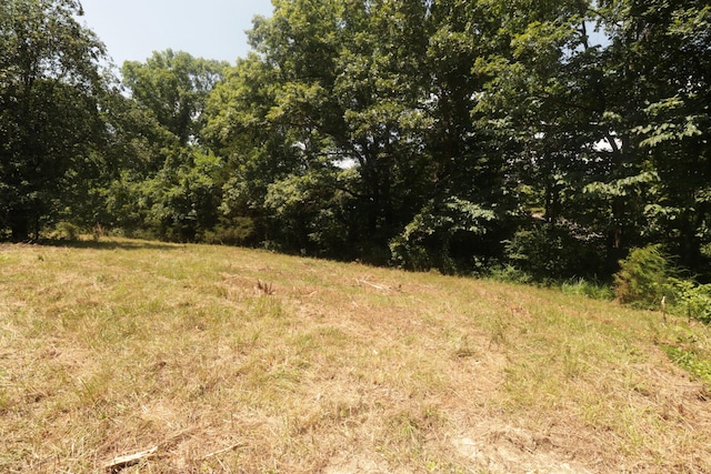 Tbd County Road 867, Isabella, MO 65676 - photo 23