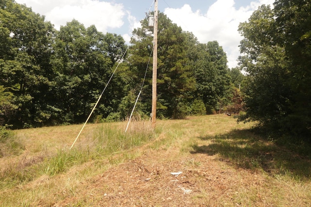 Tbd County Road 867, Isabella, MO 65676 - photo 40