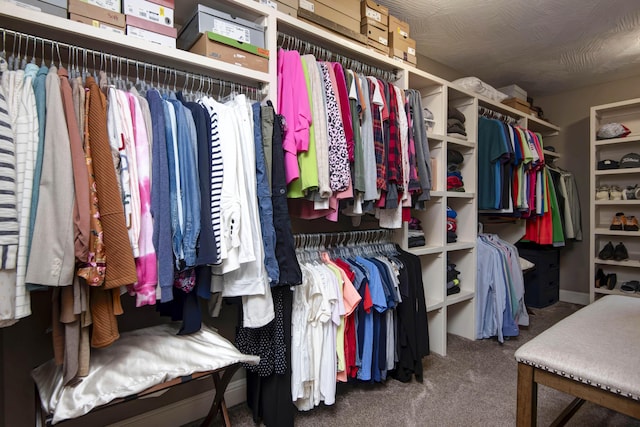 4604 E Kentbrook Dr, Springfield, MO 65802 - spacious closet with carpet flooring