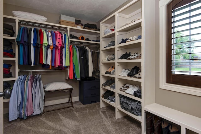 4604 E Kentbrook Dr, Springfield, MO 65802 - spacious closet with carpet floors