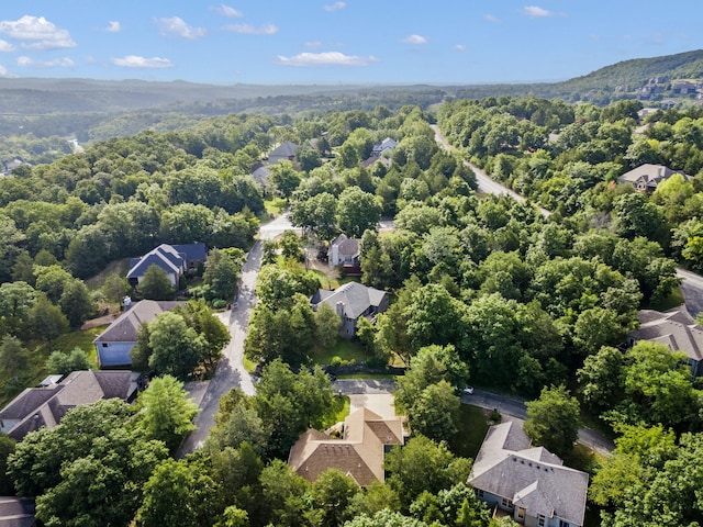 1401 Stoneycreek Cir, Branson West, MO 65737 - photo 41