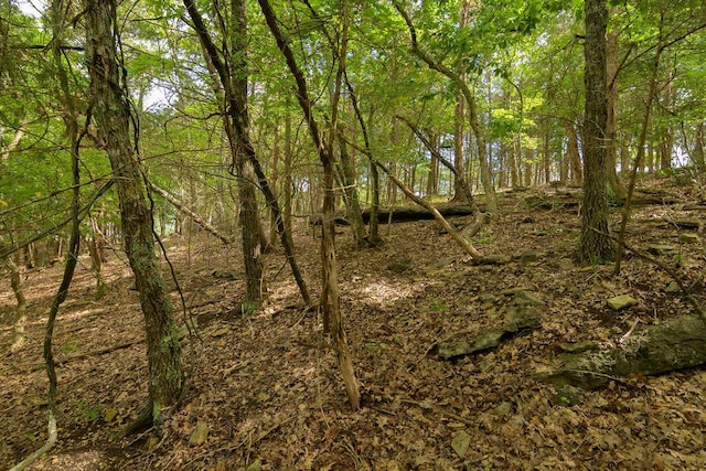 2026 Indian Point Rd, Branson, MO 65616