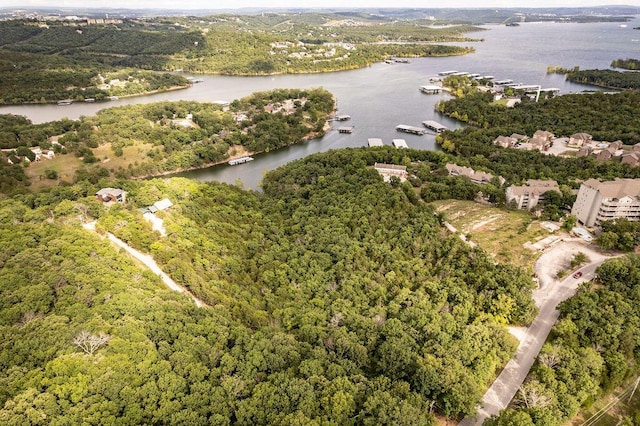 2026 Indian Point Rd, Branson, MO 65616