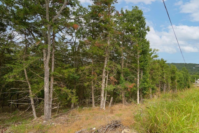 2026 Indian Point Rd, Branson, MO 65616