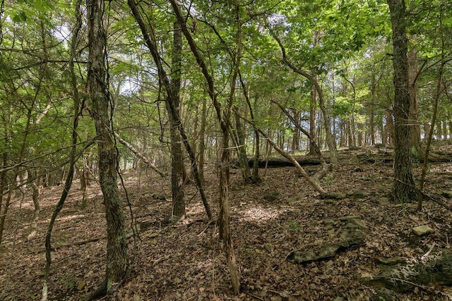 2026 Indian Point Rd, Branson, MO 65616