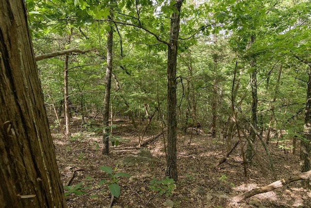 2026 Indian Point Rd, Branson, MO 65616