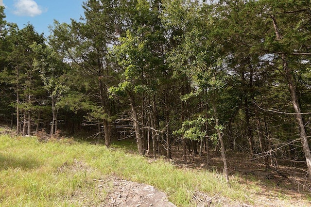 2026 Indian Point Rd, Branson, MO 65616