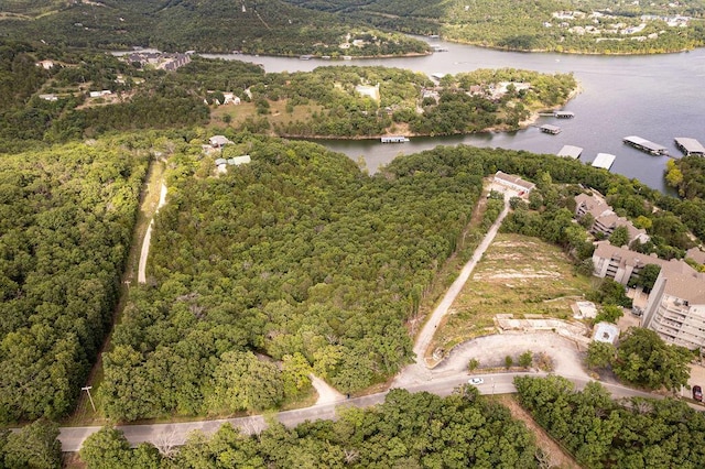 2026 Indian Point Rd, Branson, MO 65616