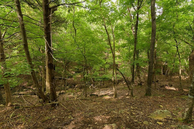 2026 Indian Point Rd, Branson, MO 65616