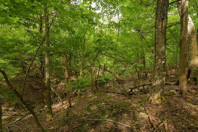 2026 Indian Point Rd, Branson, MO 65616