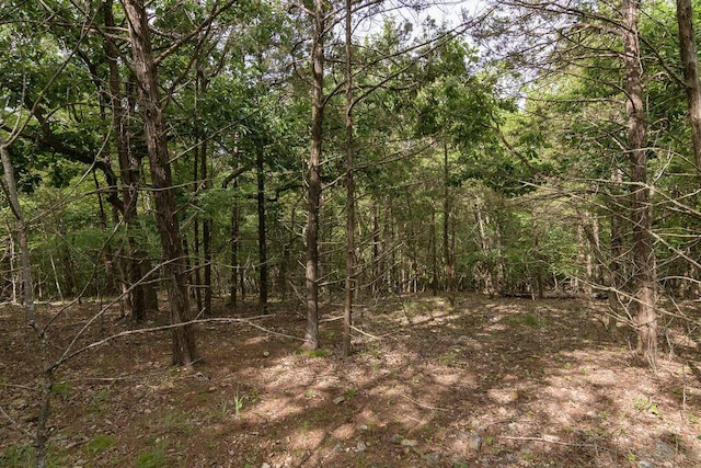 2026 Indian Point Rd, Branson, MO 65616