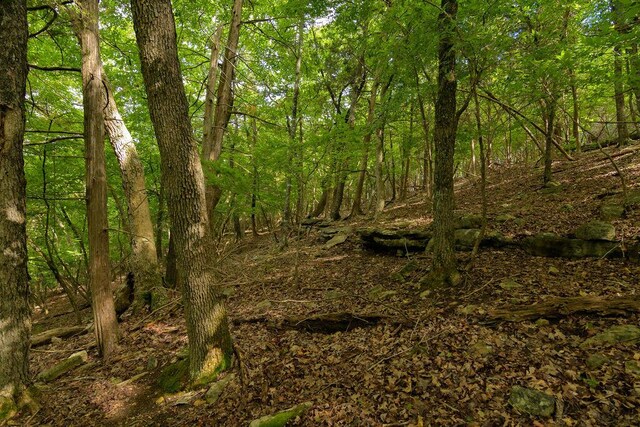 2026 Indian Point Rd, Branson, MO 65616