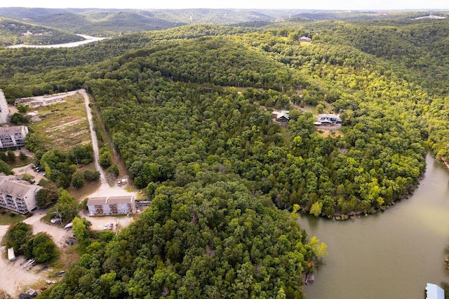 2026 Indian Point Rd, Branson, MO 65616