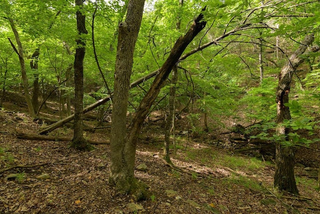 2026 Indian Point Rd, Branson, MO 65616